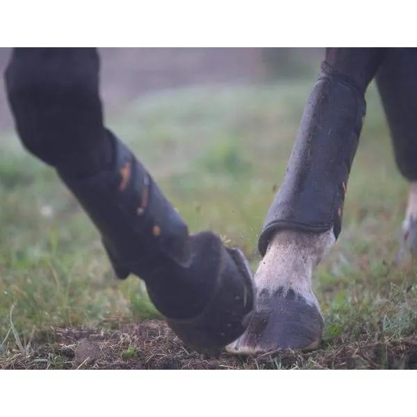 Kentucky Air Tech Eventing Hind Boots