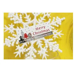 Merry Christmas Sticker Set (Silver & Red / 10pcs) Seal Sticker - Scrapbooking Packaging Party Gift Wrap Deco Collage Home Decor S062