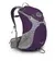 Osprey Sirrus 24 Womens Medium Backpack - Amethyst