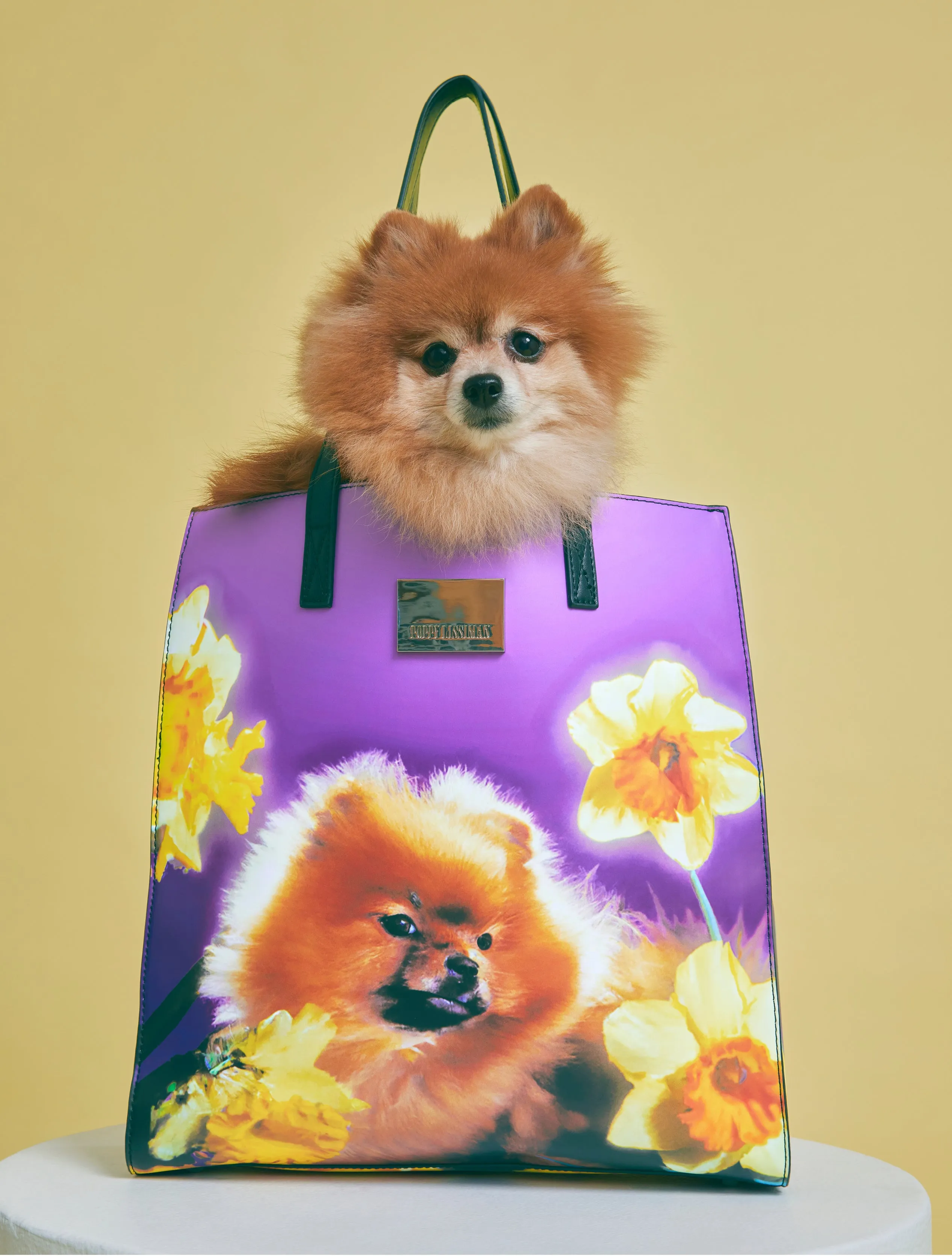 Pet Book Bag - Pom